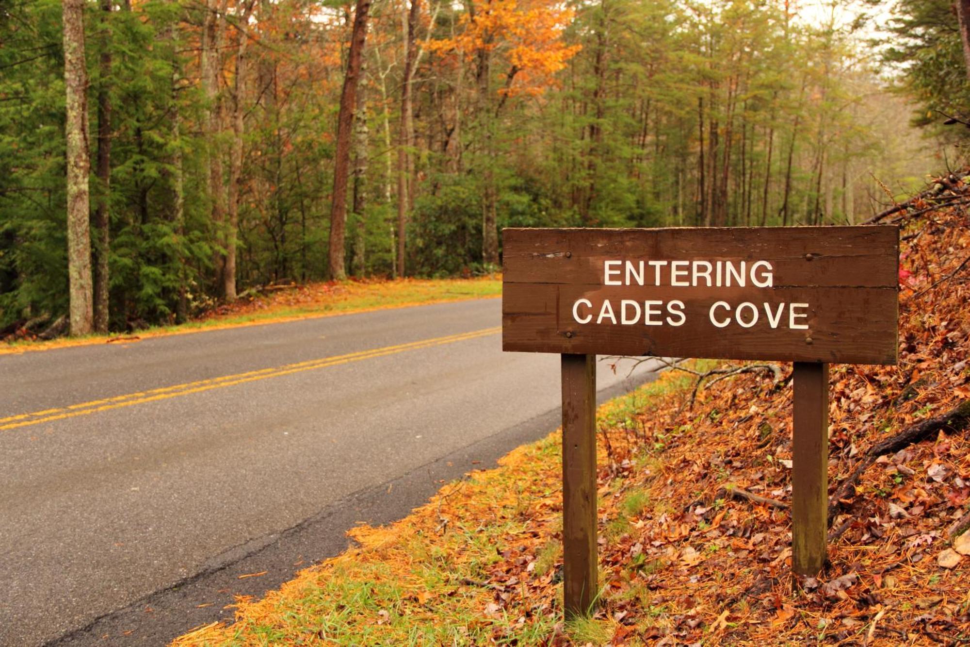 Time To Cuddle, Wifi, Near Pigeon Forge, 1089 Free Tickets Each Paid Day, Dollywood And More Exterior photo